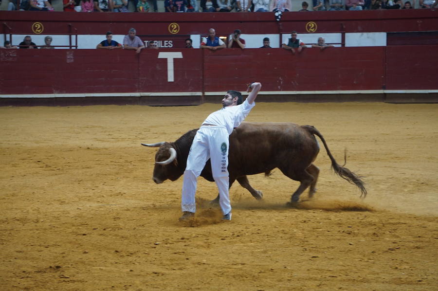 Fotos: Concurso de Cortes de La Flecha