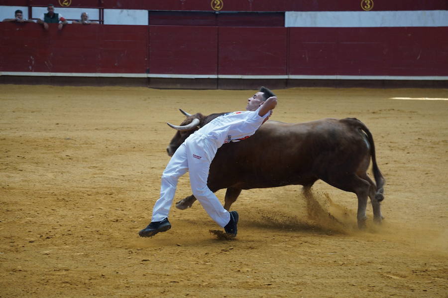 Fotos: Concurso de Cortes de La Flecha