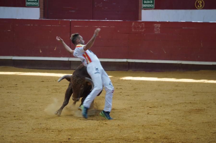 Fotos: Concurso de Cortes de La Flecha