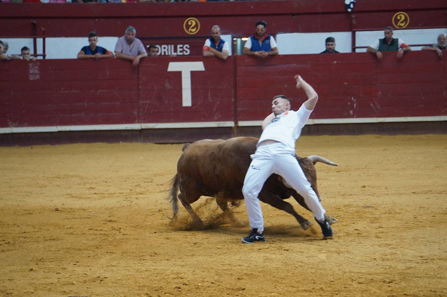 Fotos: Concurso de Cortes de La Flecha