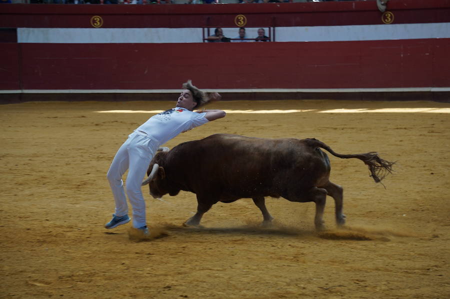 Fotos: Concurso de Cortes de La Flecha