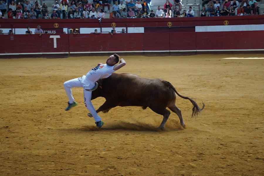 Fotos: Concurso de Cortes de La Flecha