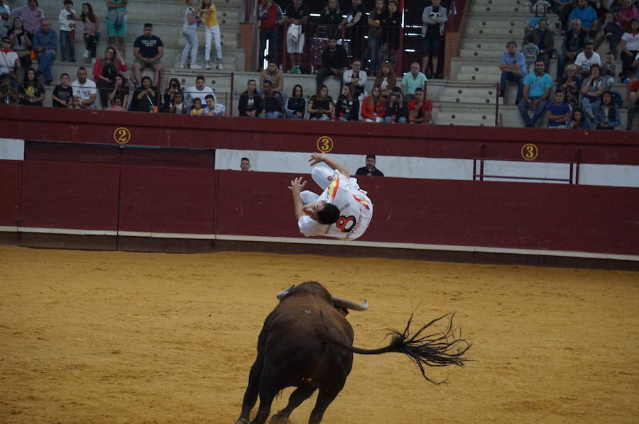 Fotos: Concurso de Cortes de La Flecha