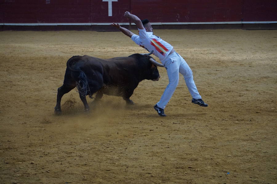 Fotos: Concurso de Cortes de La Flecha