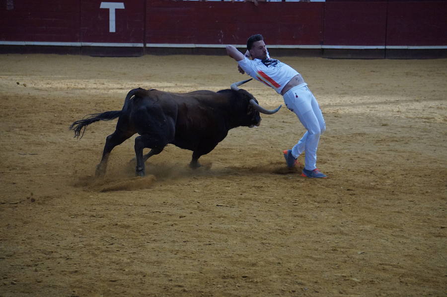 Fotos: Concurso de Cortes de La Flecha