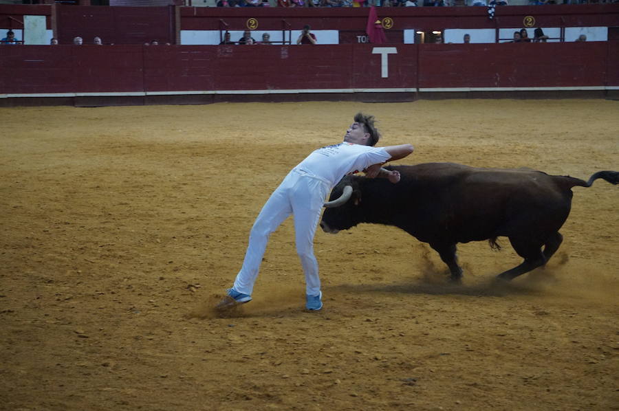 Fotos: Concurso de Cortes de La Flecha