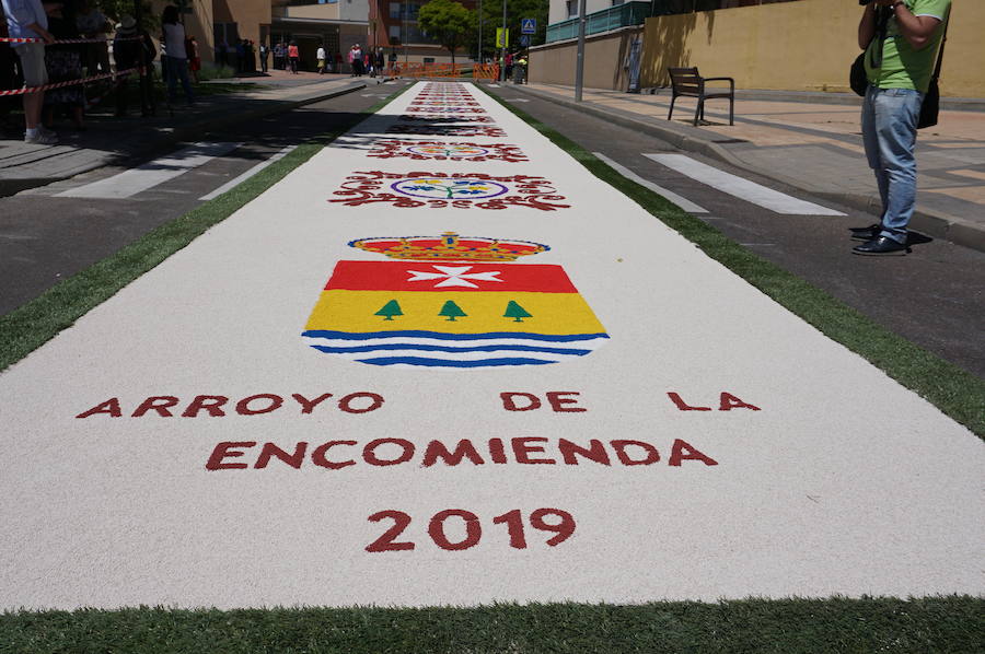 Fotos: Procesión de San Antonio de Padue en La Flecha