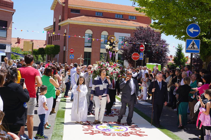 Fotos: Procesión de San Antonio de Padue en La Flecha