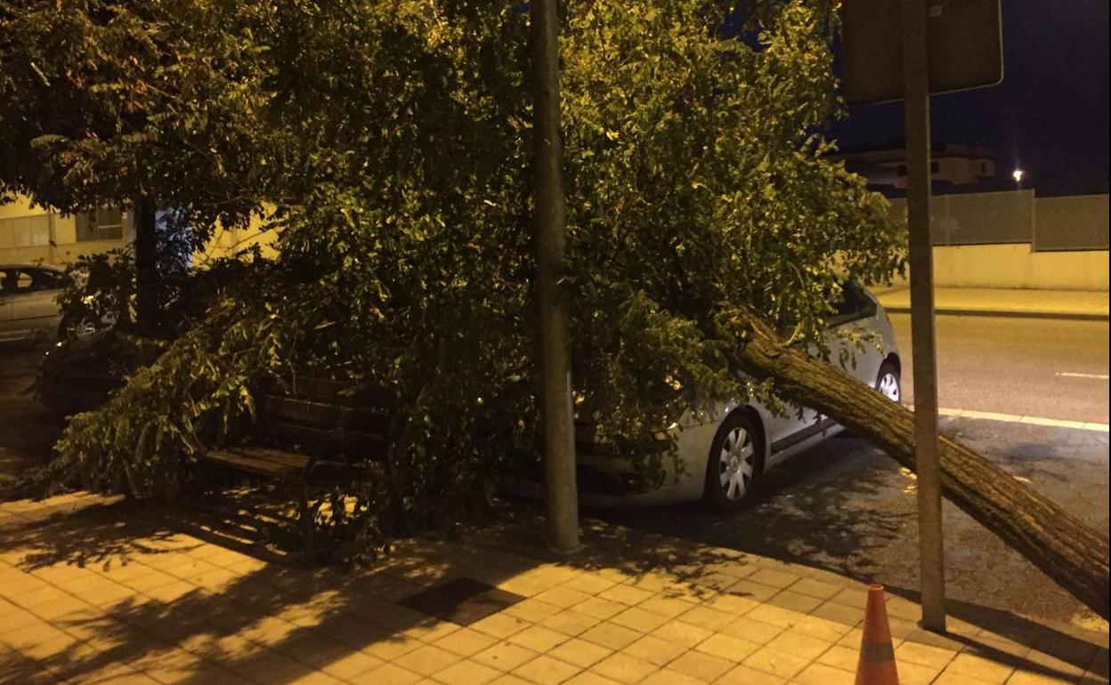 Un árbol cayó sobre un vehículo estacionado en la calle Almendrera de La Flecha, en Arroyo de la Encomienda. 