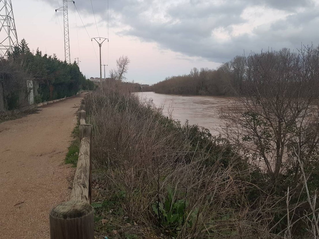 Fotos: Las consecuencias del temporal a su paso por Arroyo