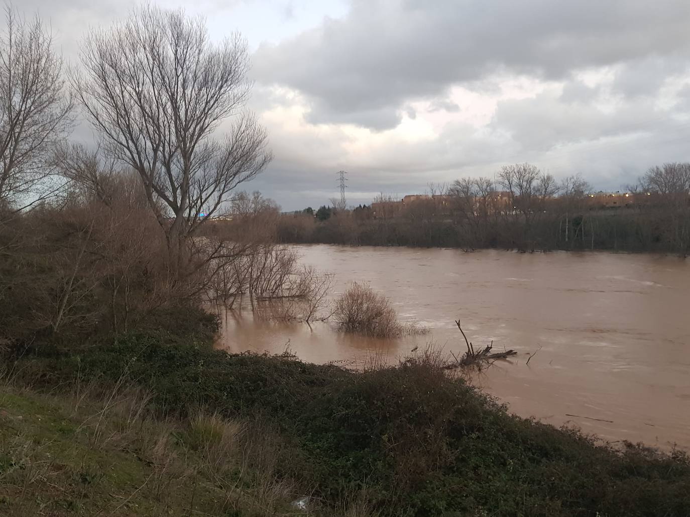 Fotos: Las consecuencias del temporal a su paso por Arroyo