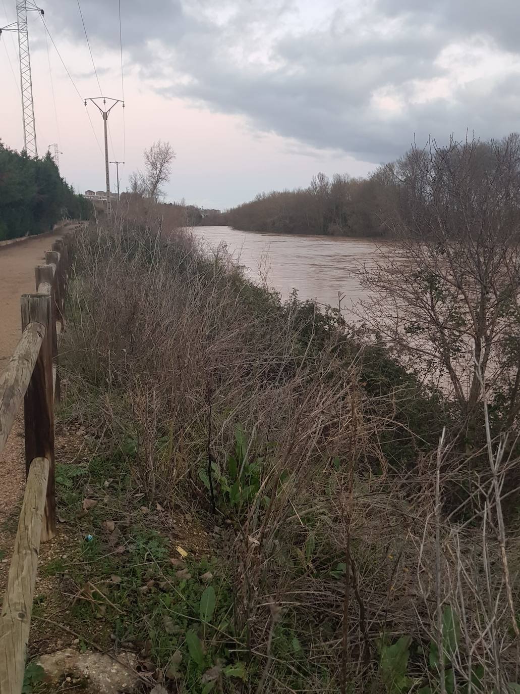 Fotos: Las consecuencias del temporal a su paso por Arroyo
