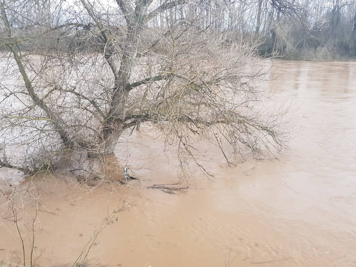 Fotos: Las consecuencias del temporal a su paso por Arroyo
