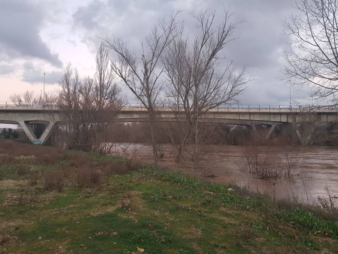 Fotos: Las consecuencias del temporal a su paso por Arroyo