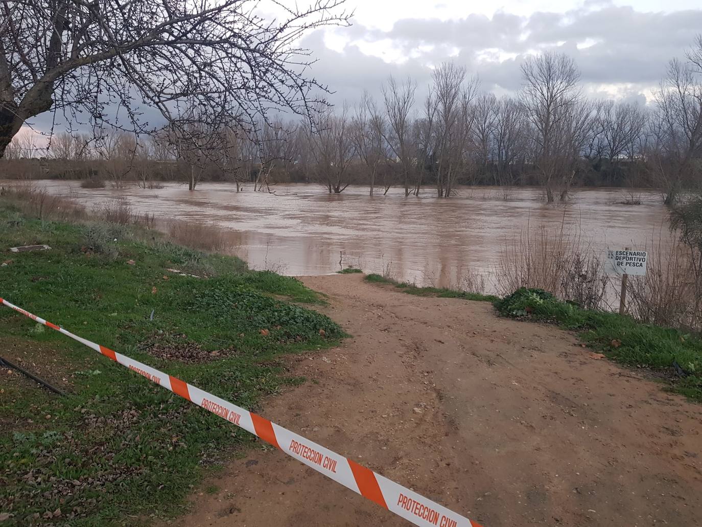 Fotos: Las consecuencias del temporal a su paso por Arroyo