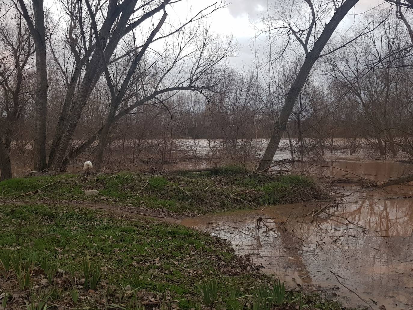 Fotos: Las consecuencias del temporal a su paso por Arroyo