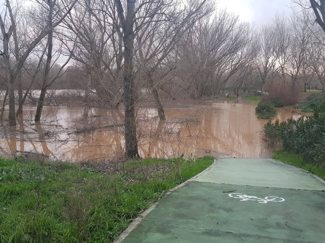 Fotos: Las consecuencias del temporal a su paso por Arroyo