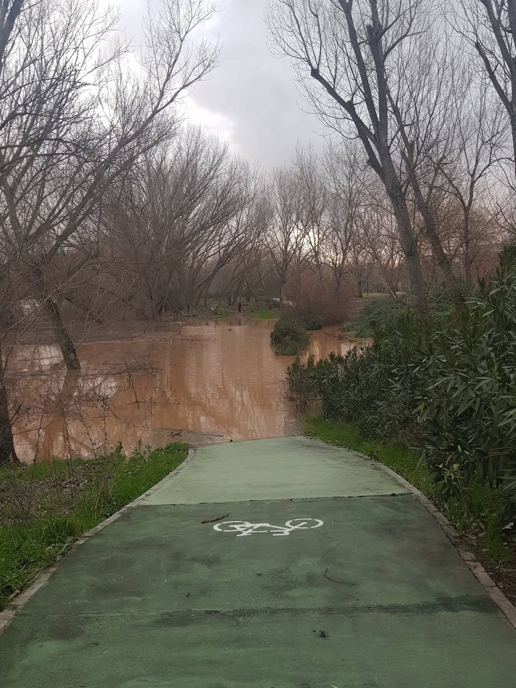 Fotos: Las consecuencias del temporal a su paso por Arroyo