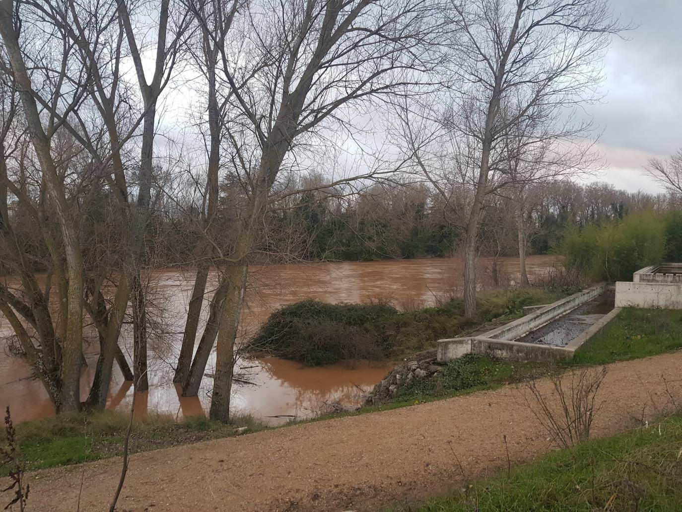Fotos: Las consecuencias del temporal a su paso por Arroyo
