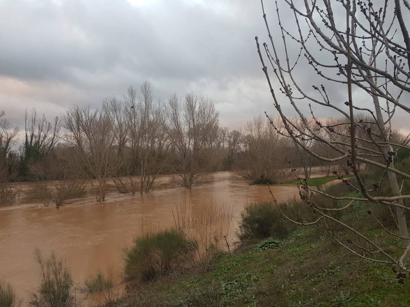 Fotos: Las consecuencias del temporal a su paso por Arroyo