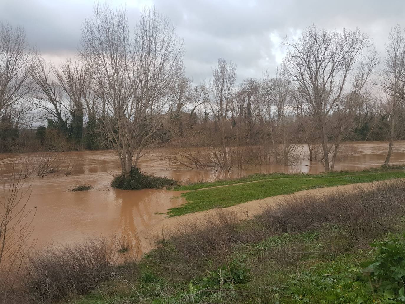 Fotos: Las consecuencias del temporal a su paso por Arroyo
