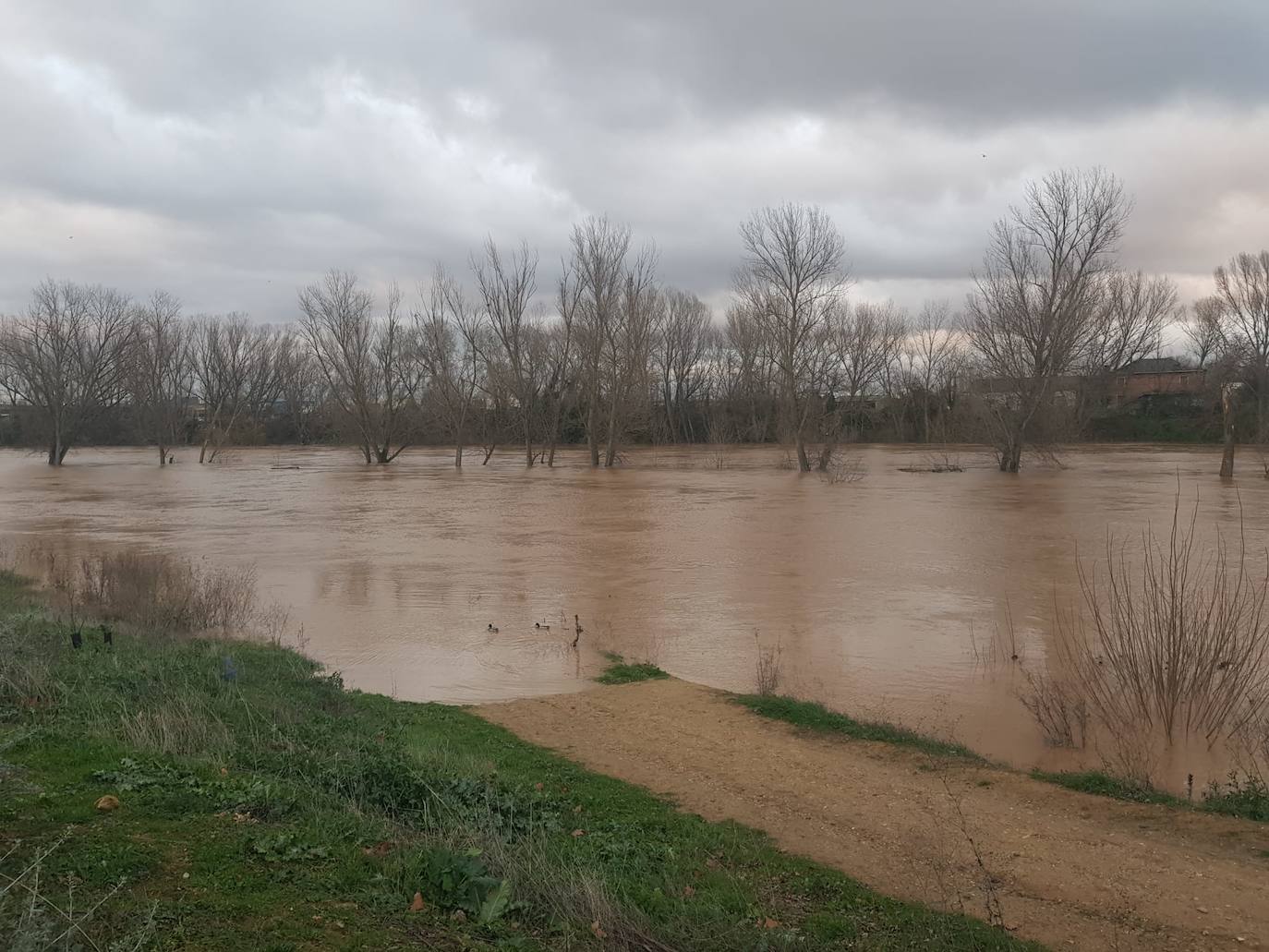 Fotos: Las consecuencias del temporal a su paso por Arroyo