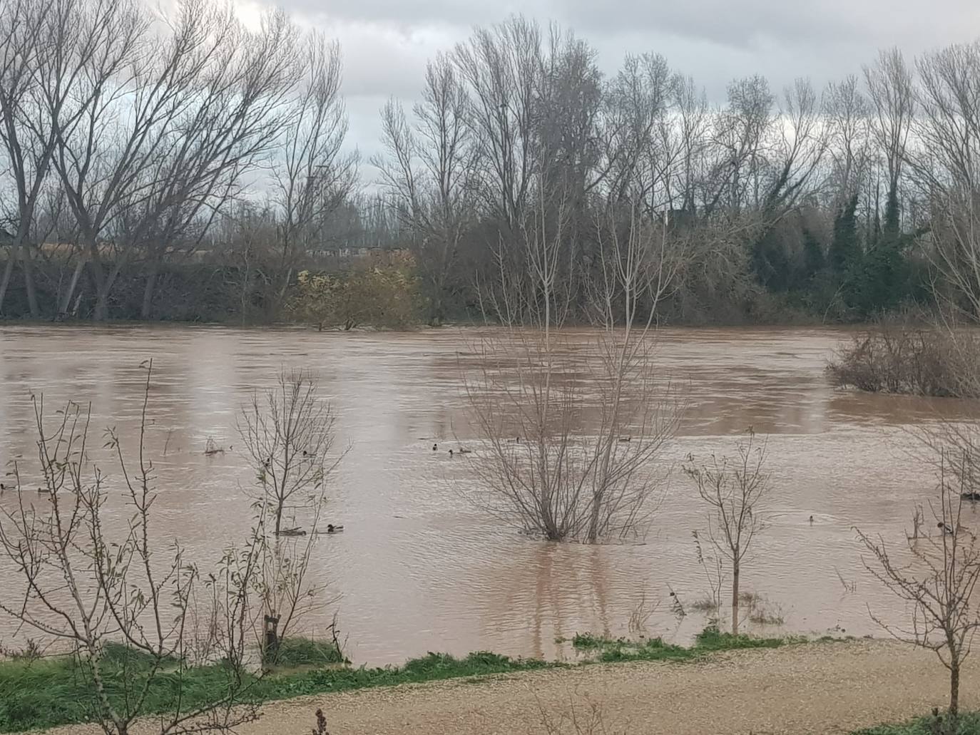 Fotos: Las consecuencias del temporal a su paso por Arroyo