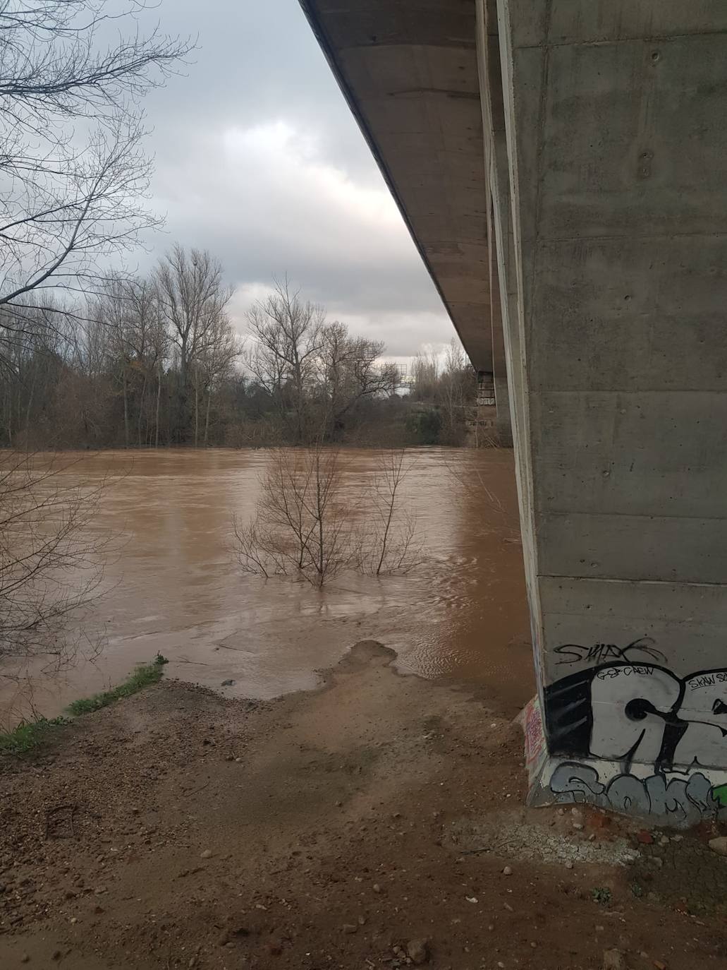 Fotos: Las consecuencias del temporal a su paso por Arroyo