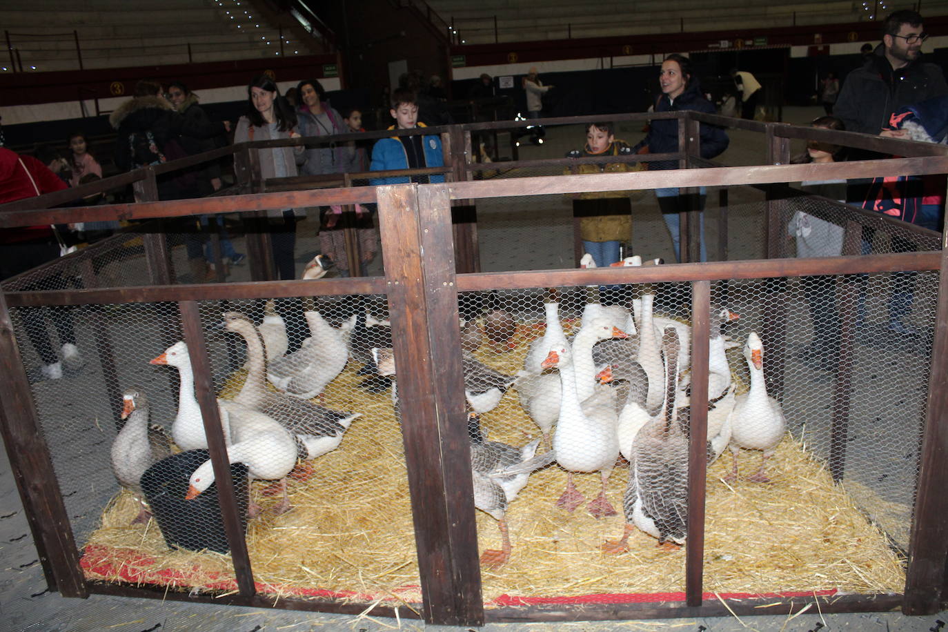 Adoración de los Reyes Magos al Niño Jesús en el portal de Belén. 