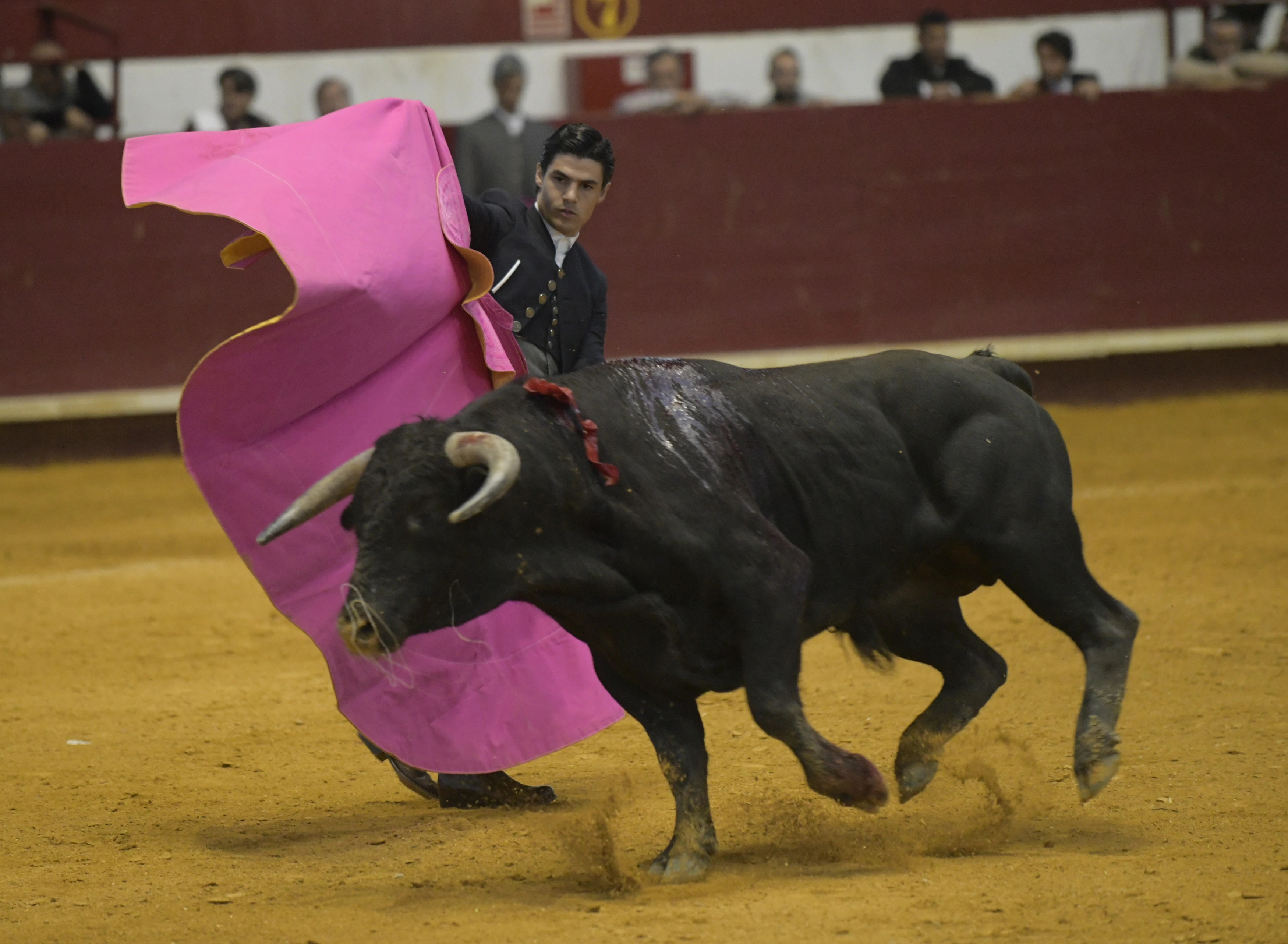 Fotos: La corrida de toros de Arroyo, en imágenes