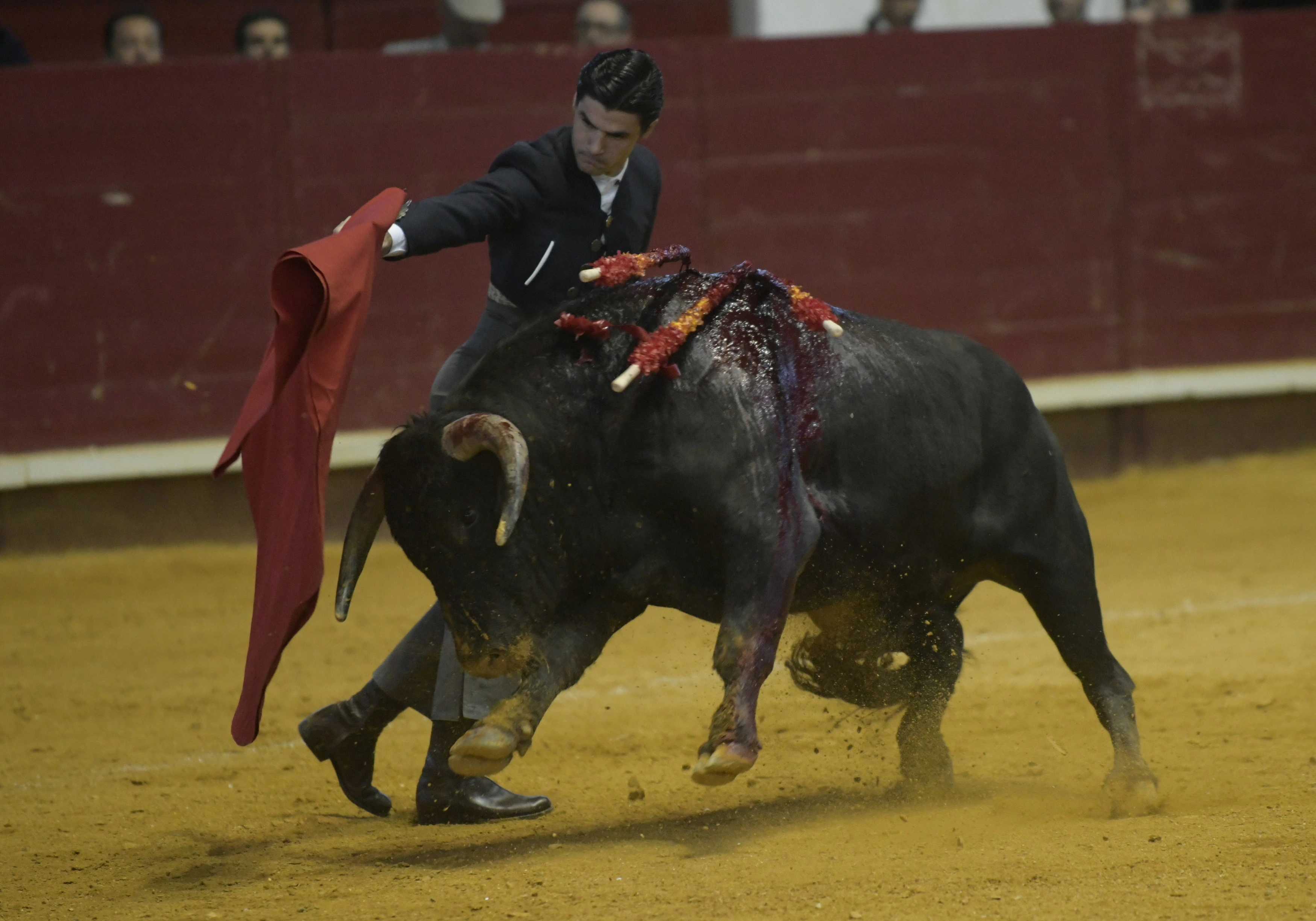 Fotos: La corrida de toros de Arroyo, en imágenes