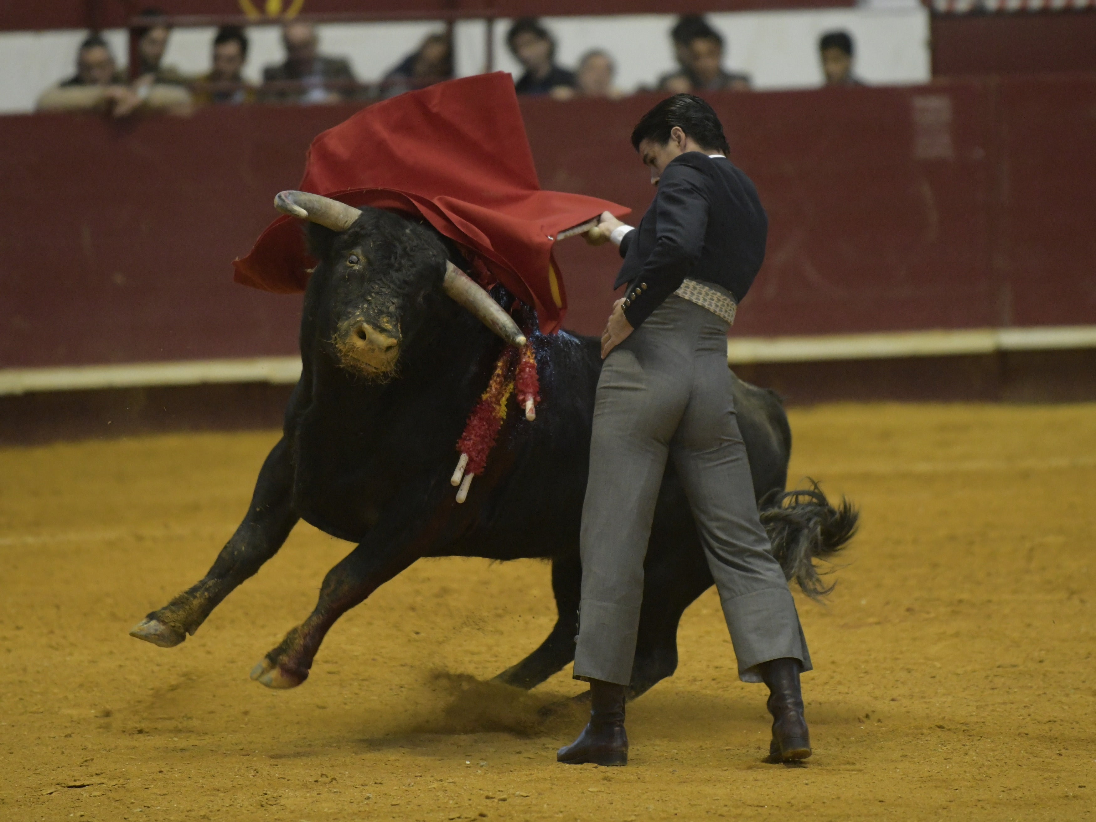 Fotos: La corrida de toros de Arroyo, en imágenes