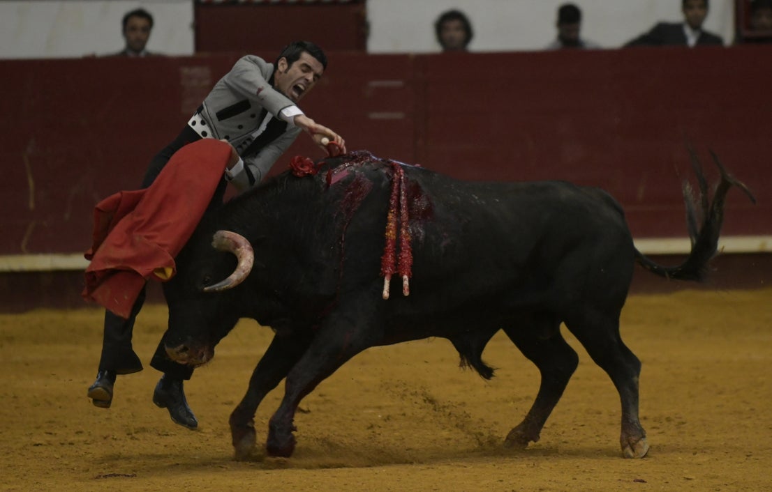 Fotos: La corrida de toros de Arroyo, en imágenes