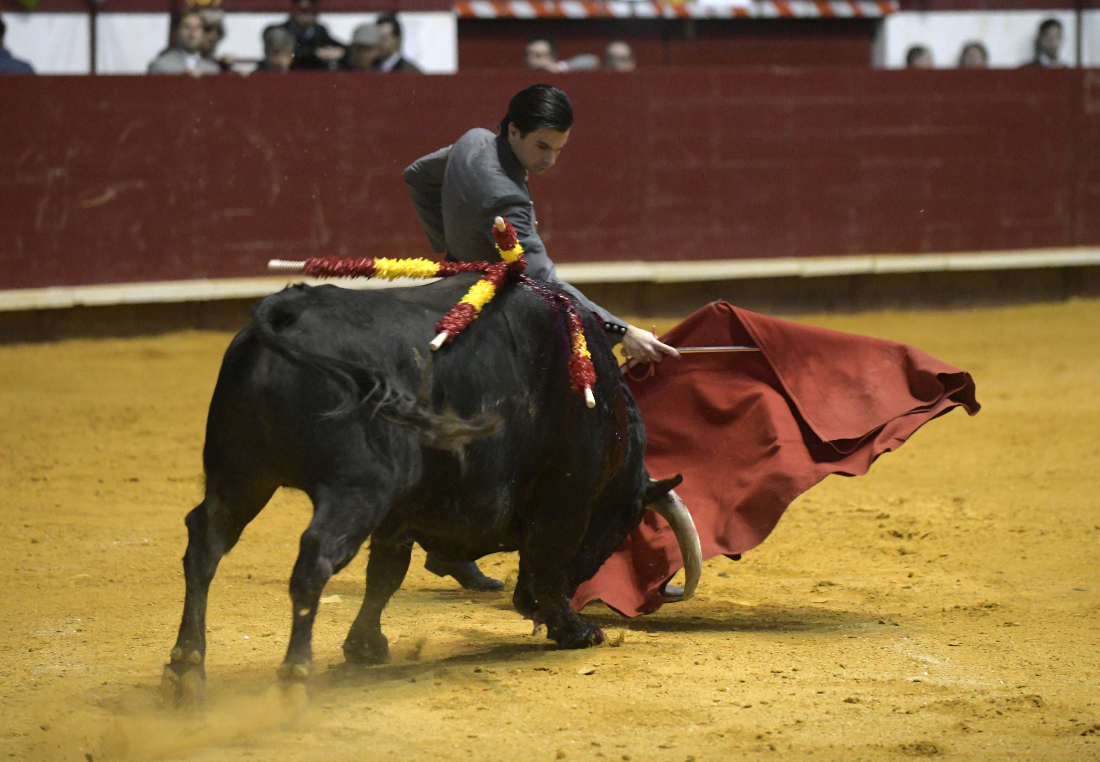 Fotos: La corrida de toros de Arroyo, en imágenes