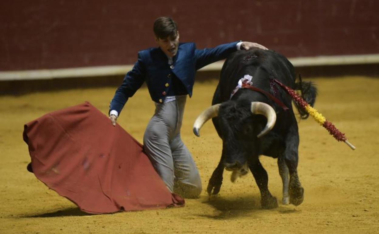 El novillero francés El Rafi cortó dos orejas y el rabo de forma simbólica tras lograr el indulto del sexto novillo de la tarde. 