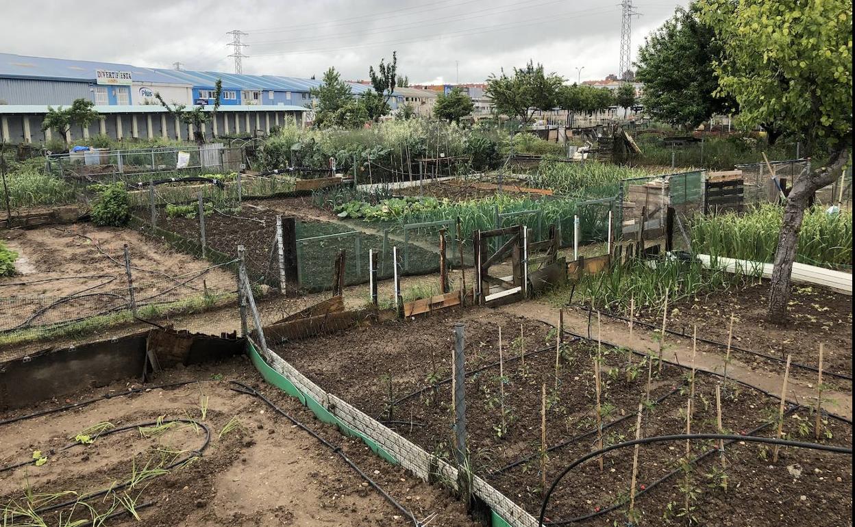 El Ayuntamiento de Arroyo procederá al sorteo de parcelas en los huertos urbanos