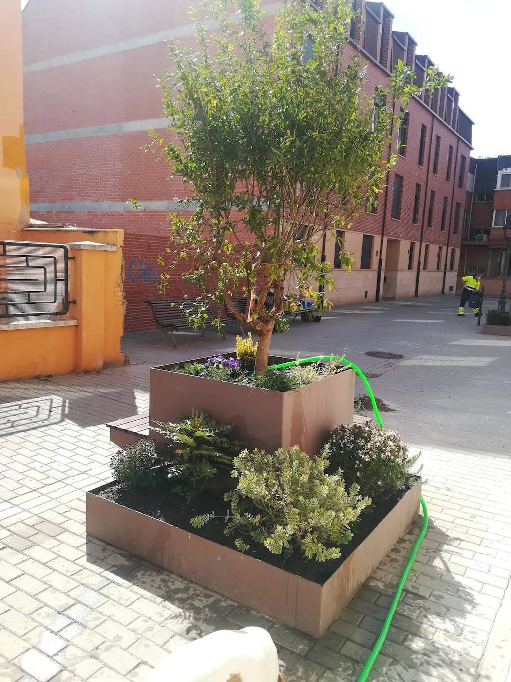 Los vecinos de este barrio de Arroyo cuentan con nuevas jardineras decorativas con bancos para el descanso a la siombra. 