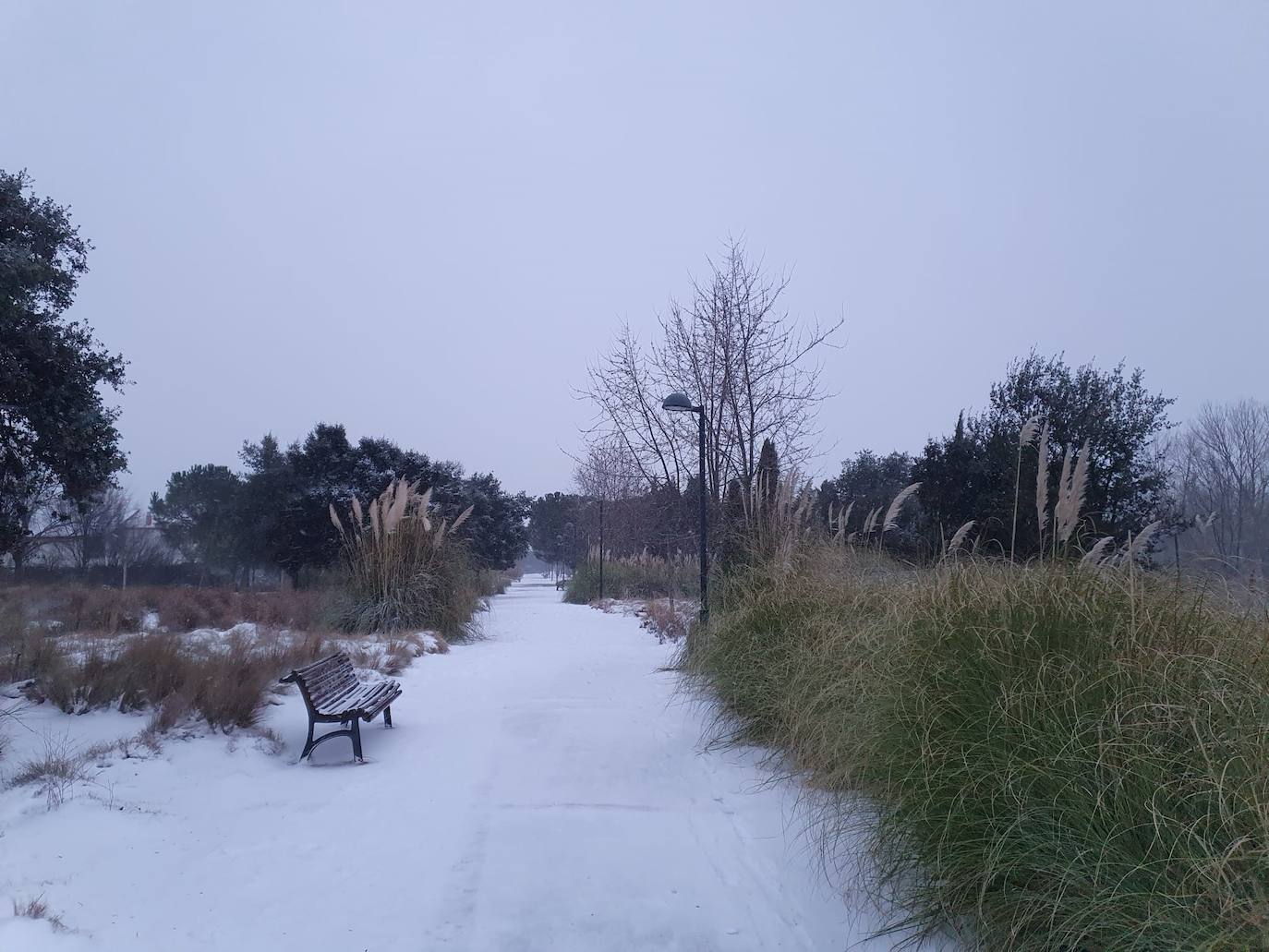 Aspecto que presentaba la plaza España de La Flecha, en Arroyo de la Encomienda,a primera hora de la mañana. 
