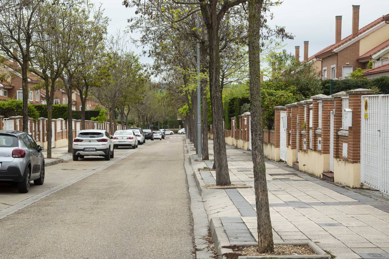 Fotos: Un paseo por Arroyo: urbanización Sotoverde