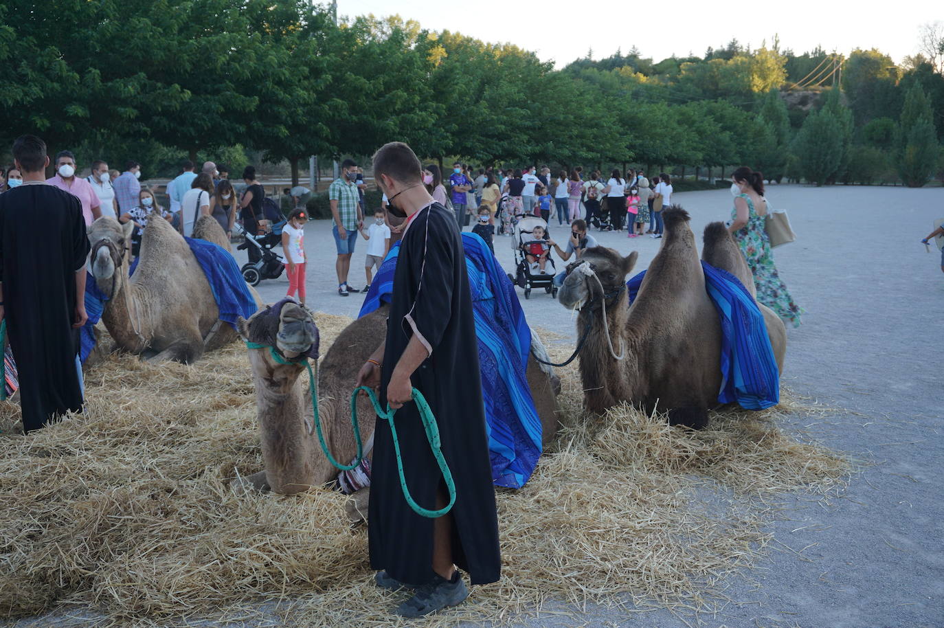 Mercado Medieval de Arroyo de la Encomienda. 