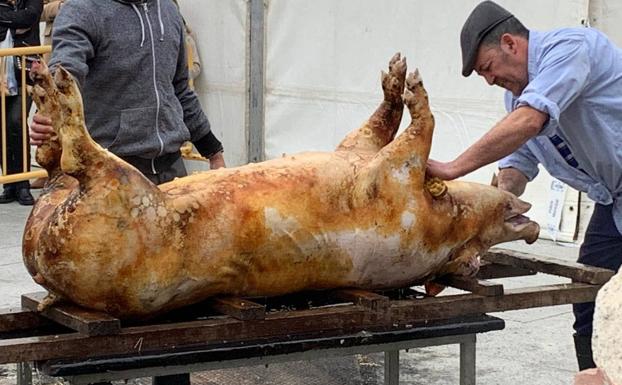 Destazado del cerdo en la Fiesta de la Matanza. 
