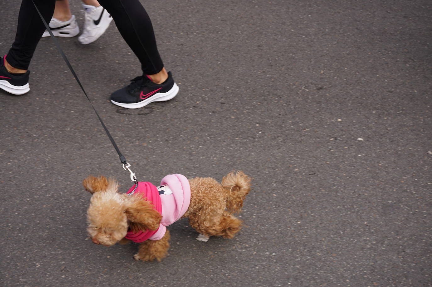 Las camisetas fucsias regaron el recorrido de esta mañana por Arroyo de muestras de solidaridad y empatía en la lucha contra el cáncer. 