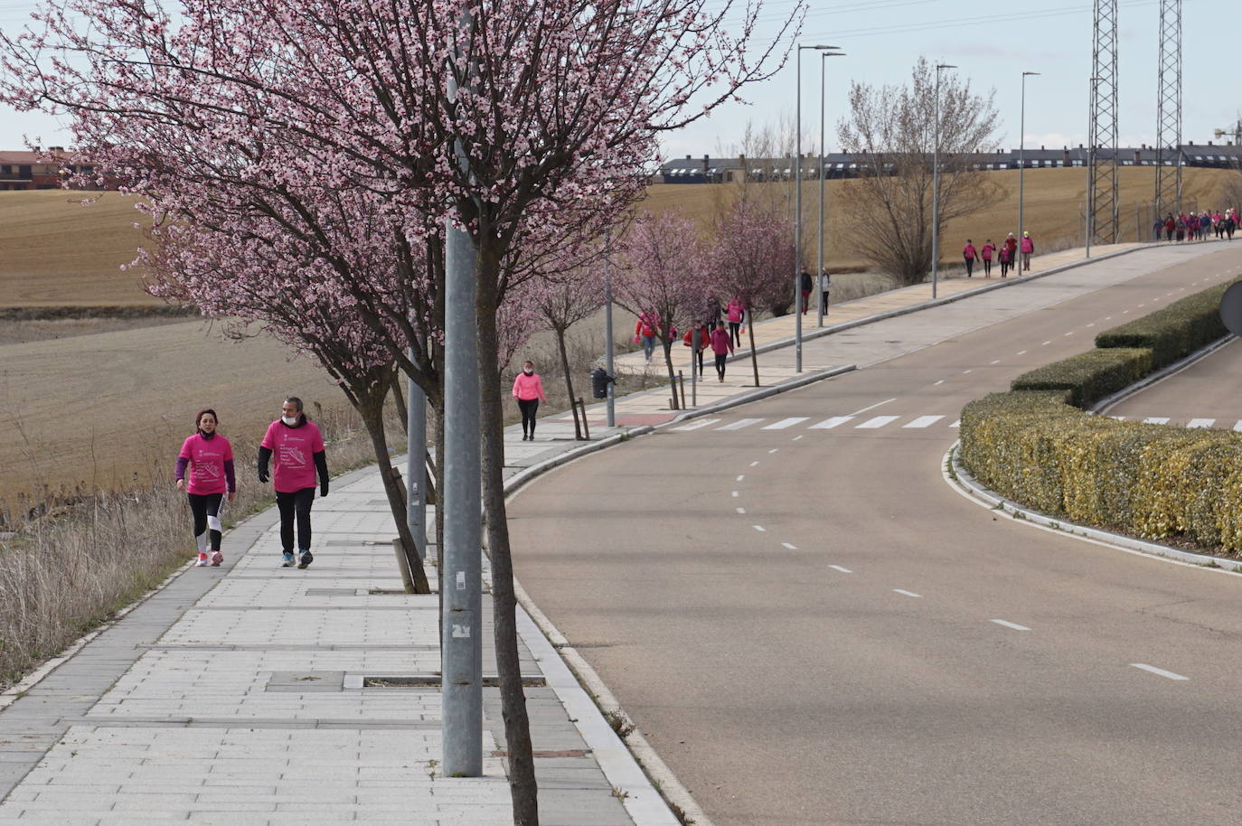 Las camisetas fucsias regaron el recorrido de esta mañana por Arroyo de muestras de solidaridad y empatía en la lucha contra el cáncer. 
