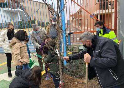 Imagen secundaria 1 - Diferentes momentos de la plantación en el Colegio Elvira Lindo 