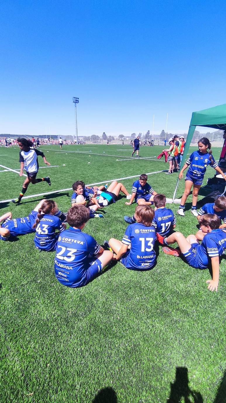 Partidos celebrados en los Nuevos Campos de Rugby y en Campos de La Vega 