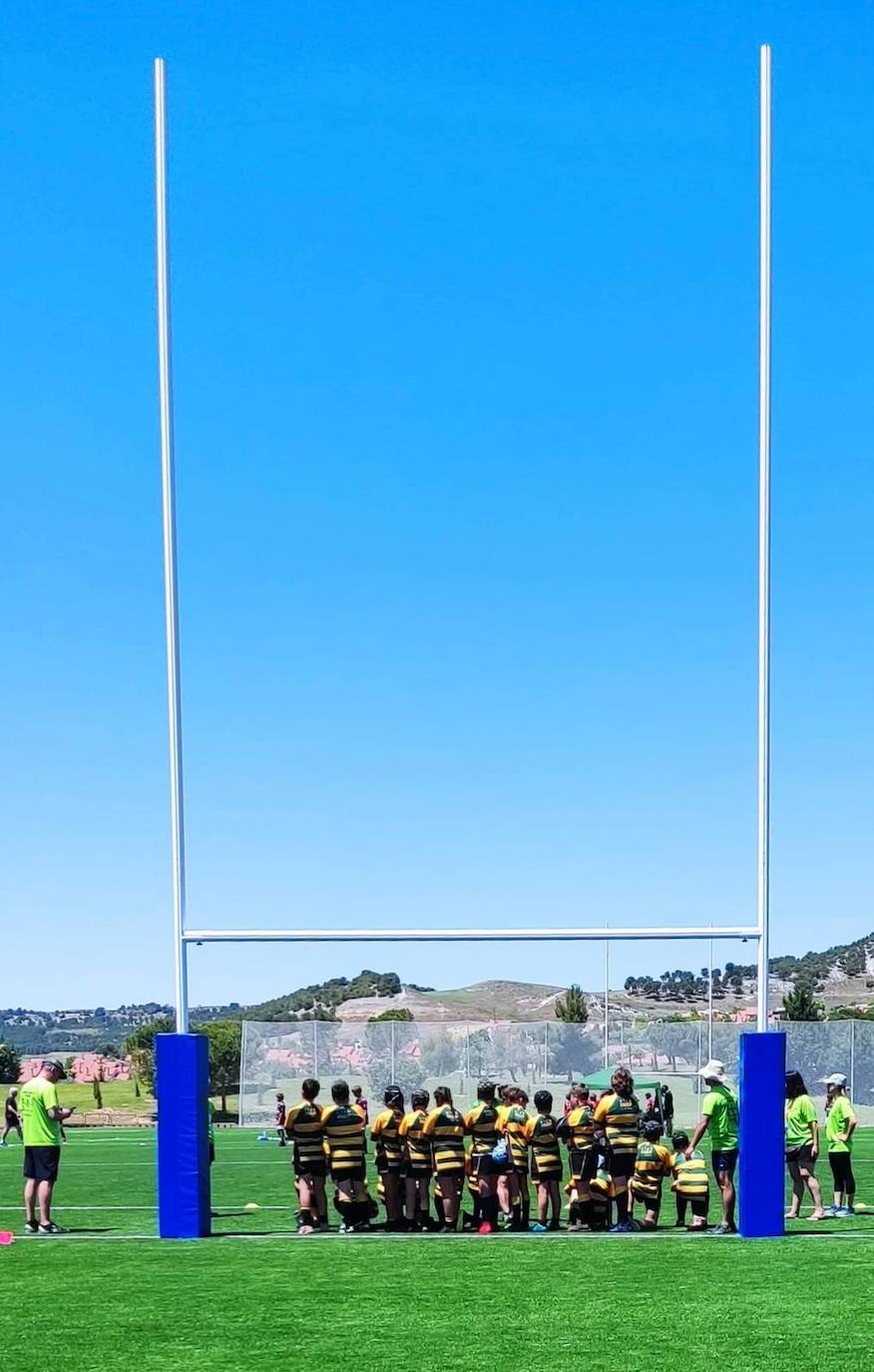 Partidos celebrados en los Nuevos Campos de Rugby y en Campos de La Vega 