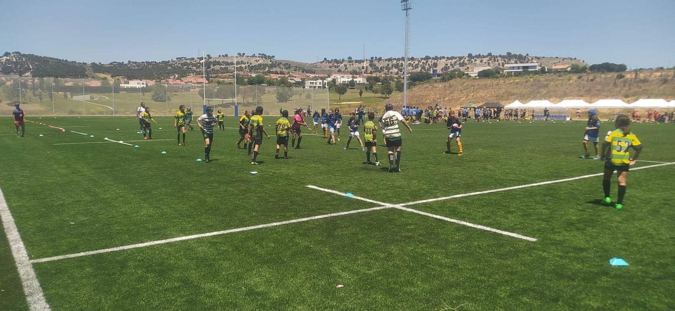 Partidos celebrados en los Nuevos Campos de Rugby y en Campos de La Vega 