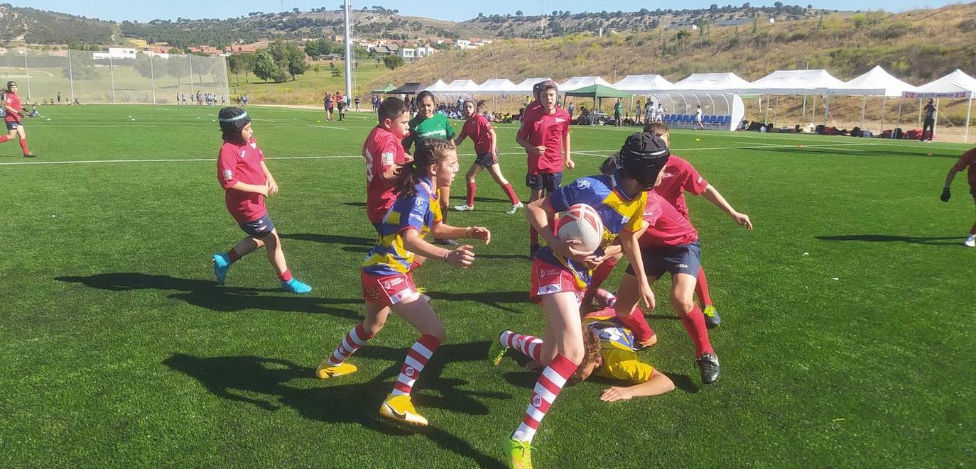 Partidos celebrados en los Nuevos Campos de Rugby y en Campos de La Vega 