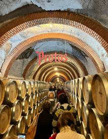 Imagen secundaria 2 - Participantes en la excursión celebrada esta semana a Peñafiel 