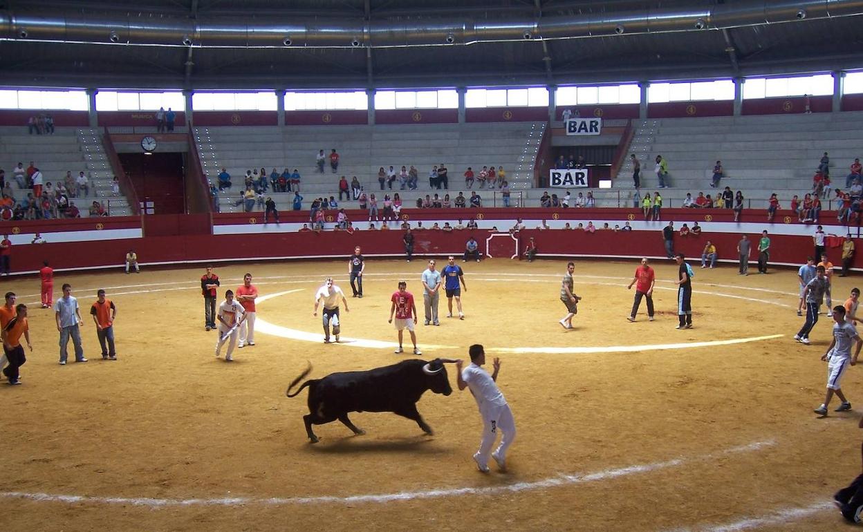 Festejo taurino en la Plaza de Toros de Arroyo de la Encomienda 